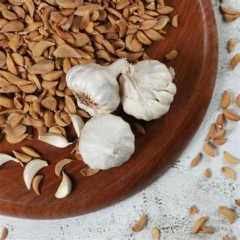 Dehydrated Garlic Aroma Strong & Pungent Moisture Content Max 6% Primary Applications Spice Blends, Culinary Use Processing Method Hygienically Dried Under Us-fda Standards - H&R INTERNATIONAL - India